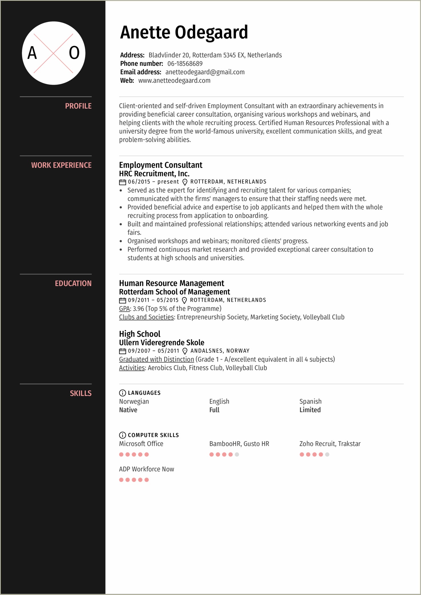Self Employed Consultant Resume Example