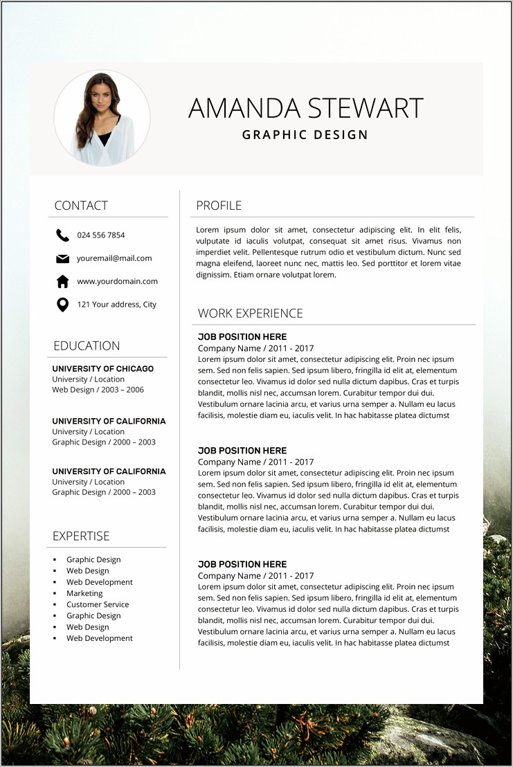 Best Resume Format For Professional