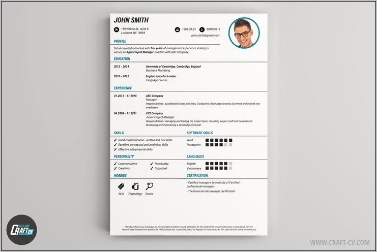 Best Review Resume Template Online