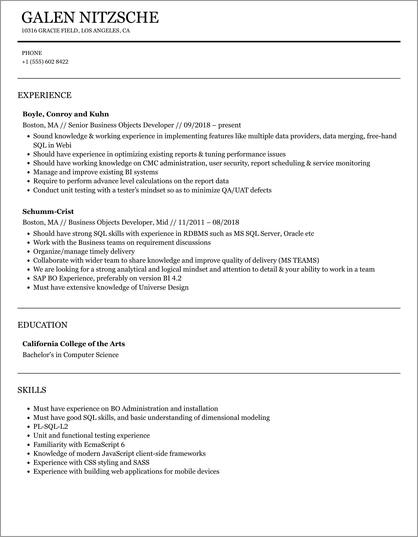 Business Object 3.1 Resume