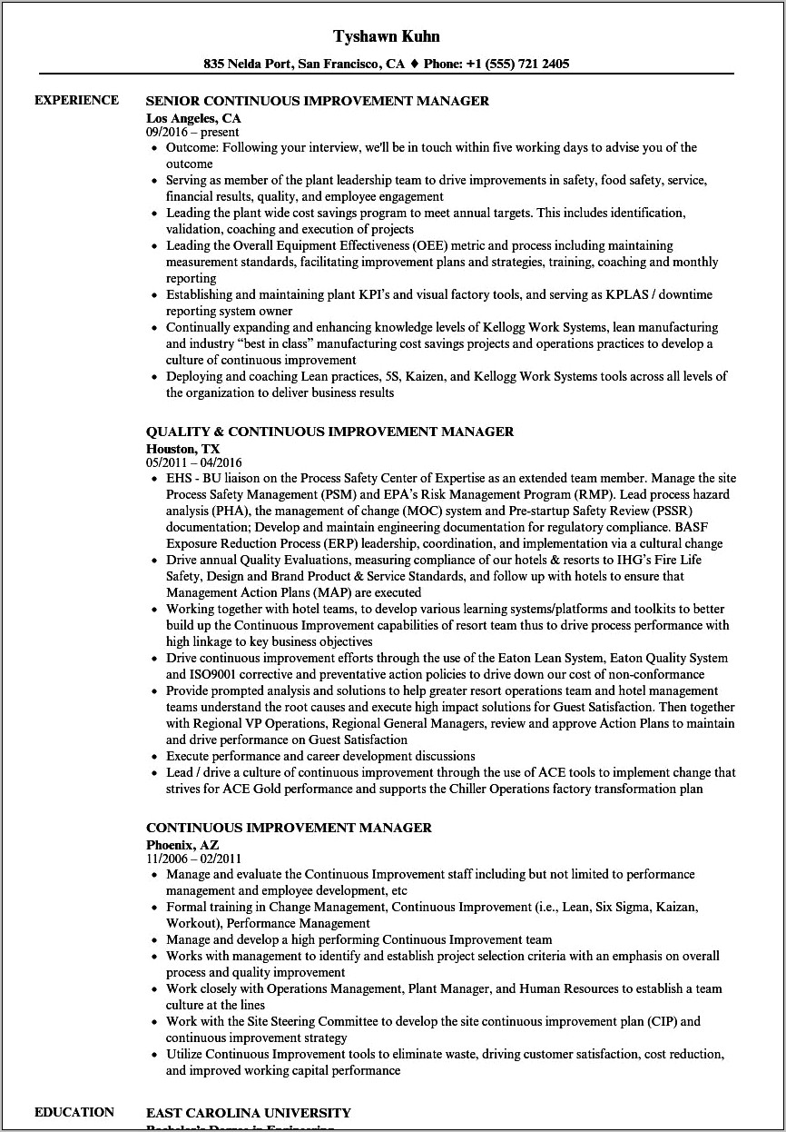 Business Process Improvement Manager Resume