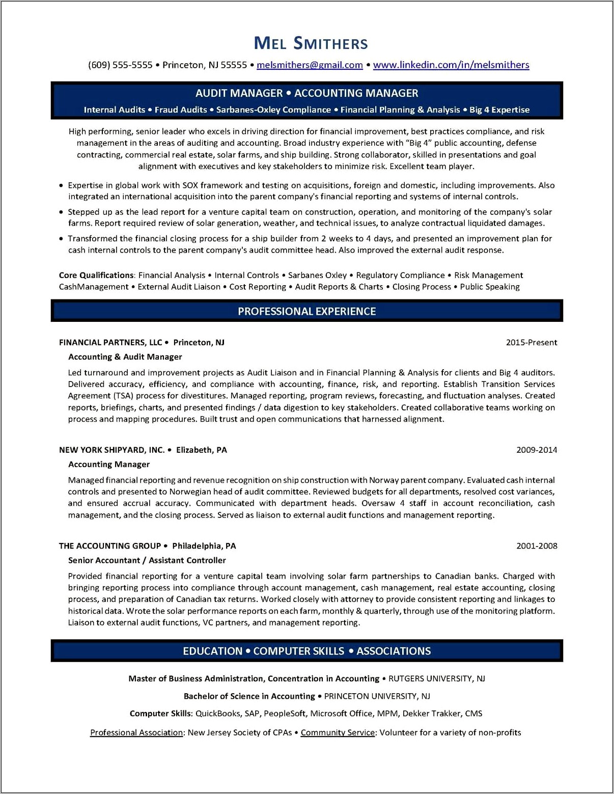Chief Audit Executive Resume Examples
