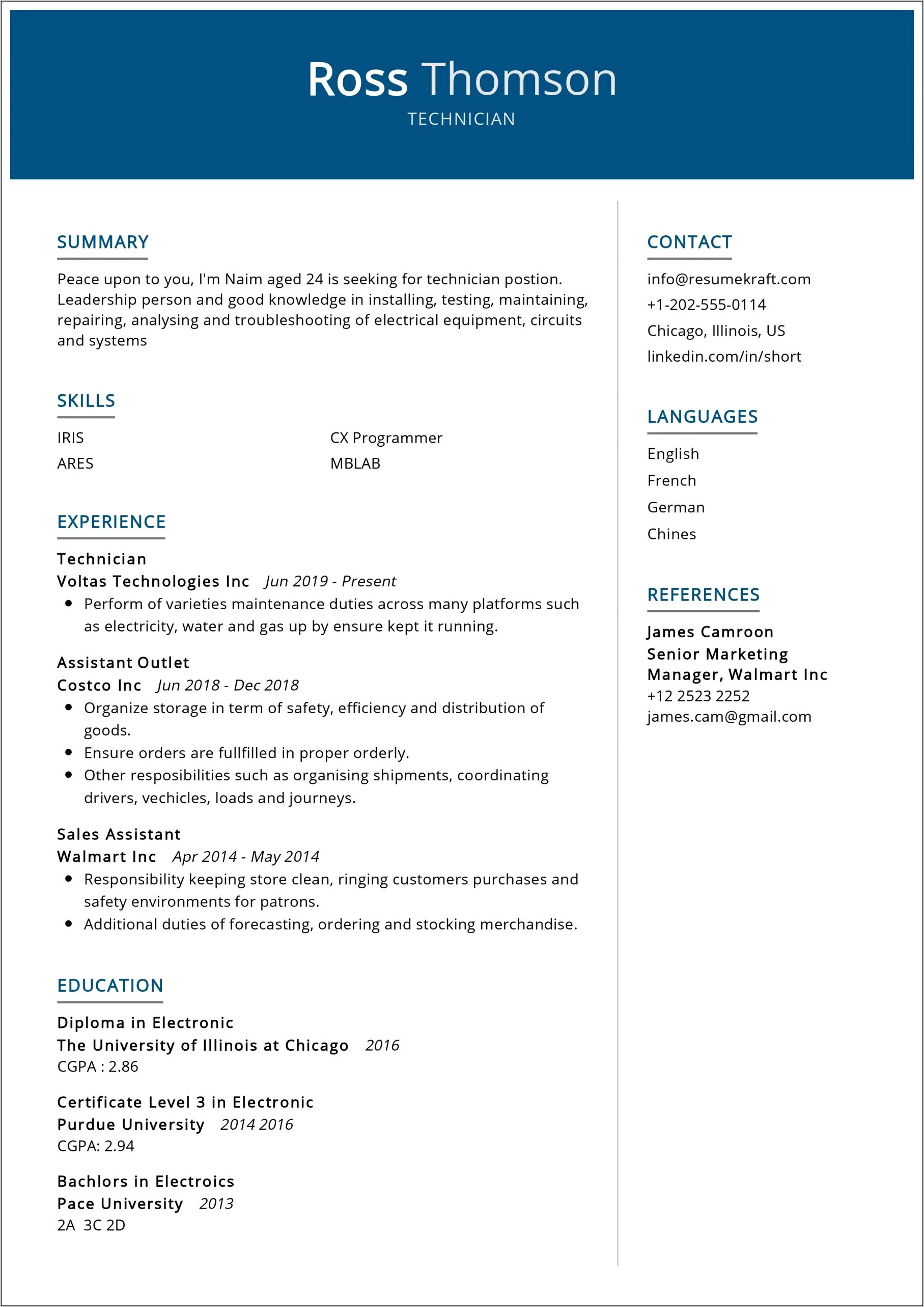 Computer Technician Resume Sample Download