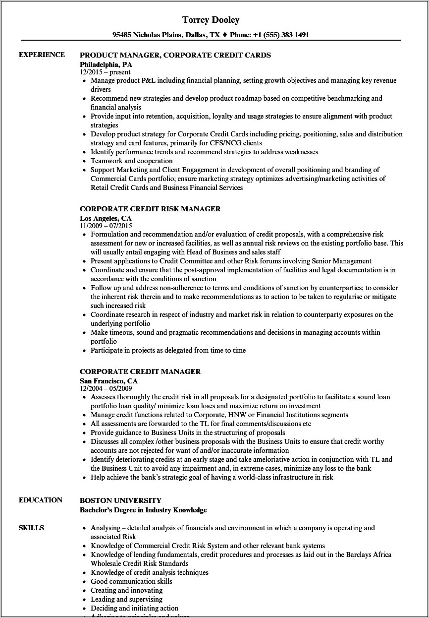 Corporate Credit Manager Resume Summary