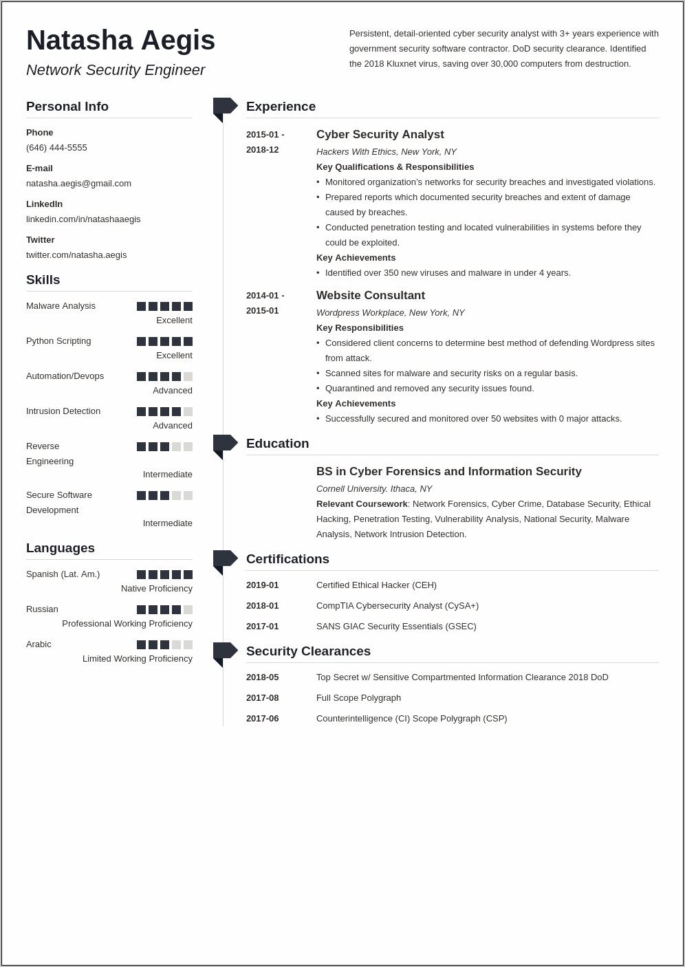 Cyber Security Resume Summary Examples