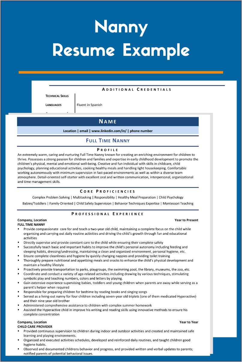 Day Care Provider Resume Examples