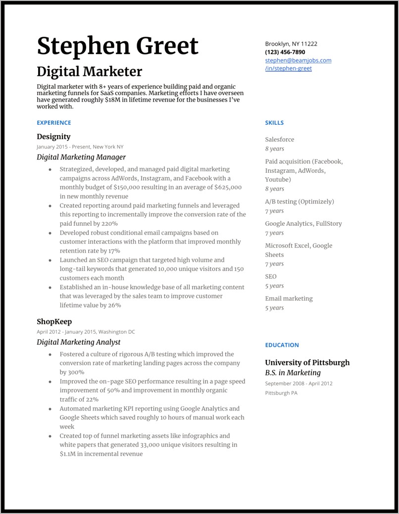Digital Marketing Director Resume Examples
