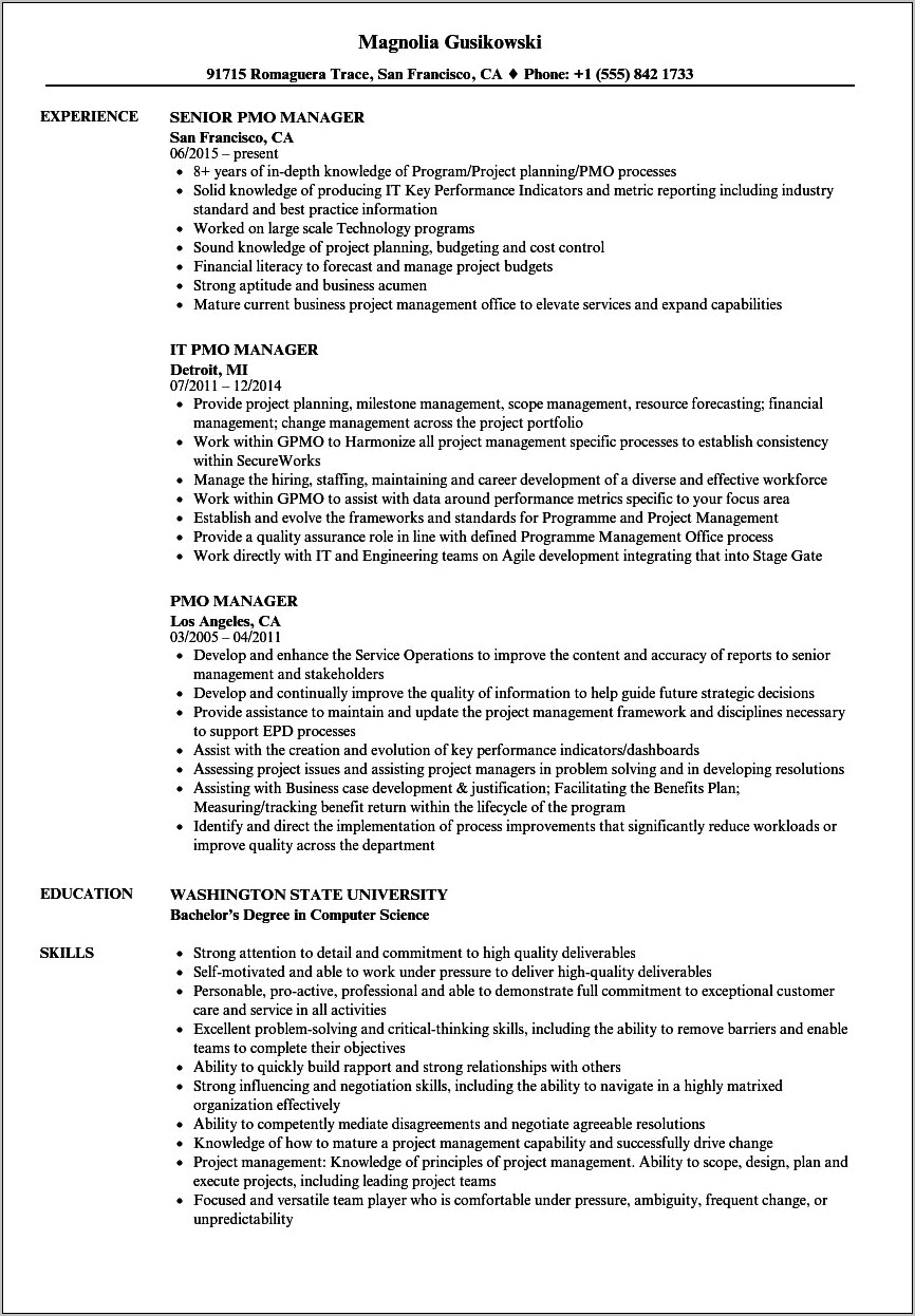 Director Of Pmo Resume Samples