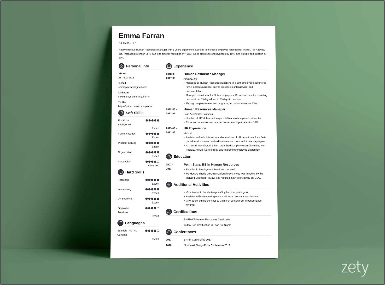 Example Of A Resume Modern