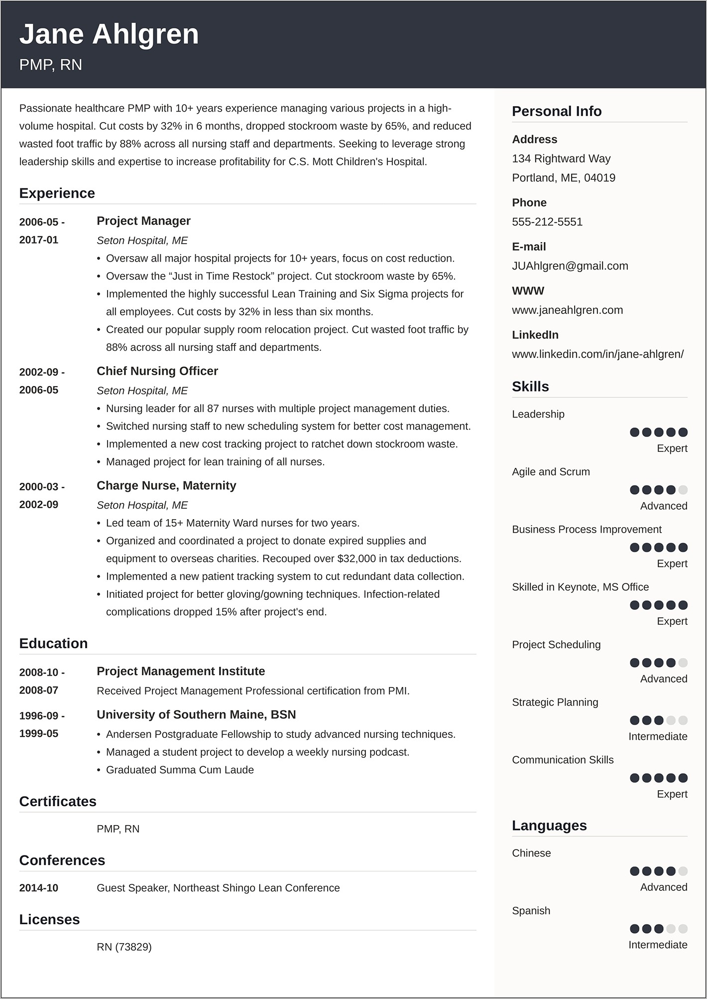 Examples Of Excellent Resumes 2015