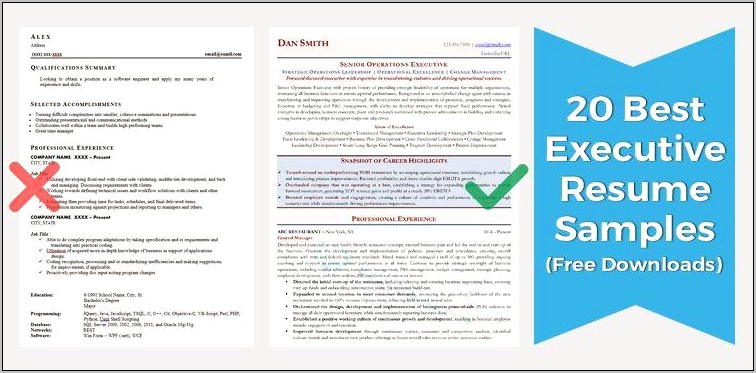 Examples Of Executive Resumes Healthcare