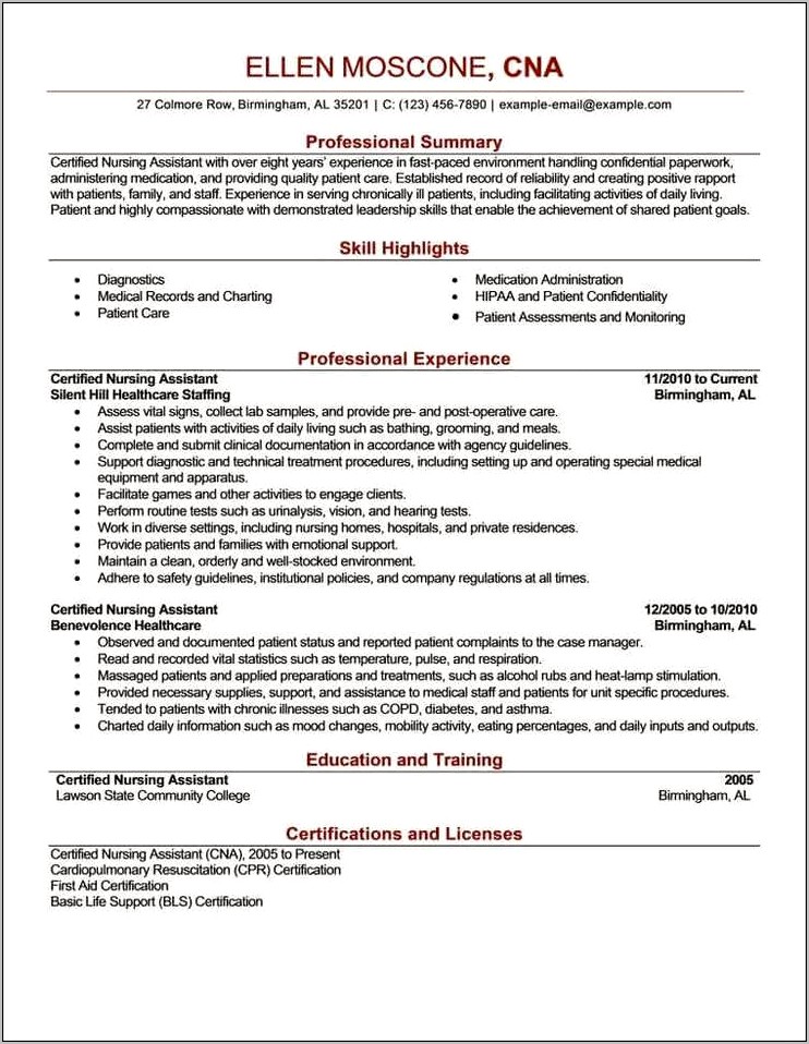 Experience Summary Sample For Resume