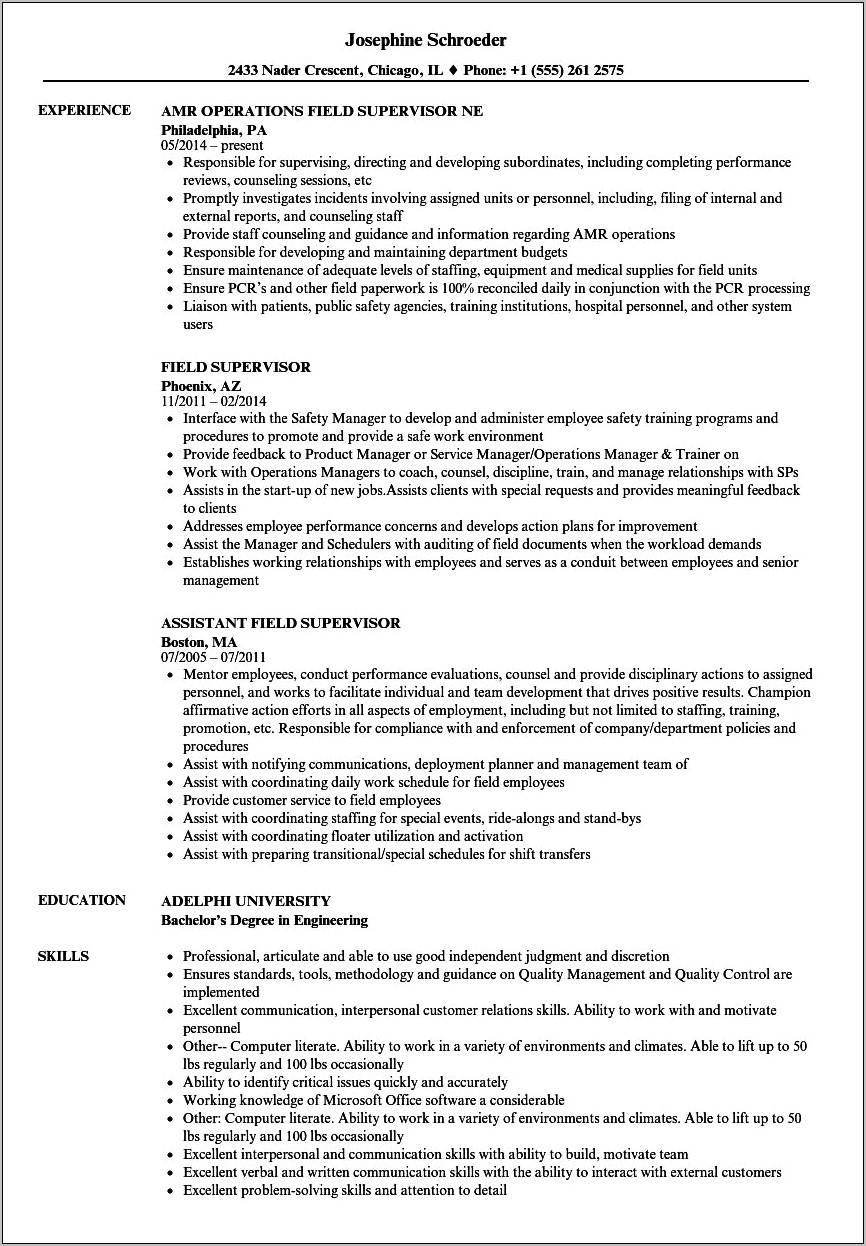 Field Supervisor Job Description Resume