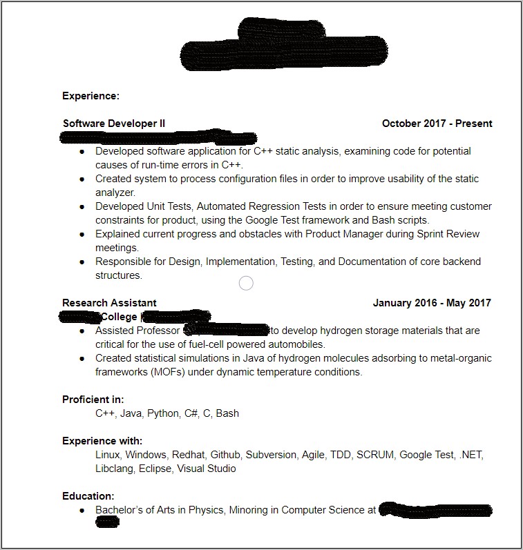 First Software Developer Job Resume