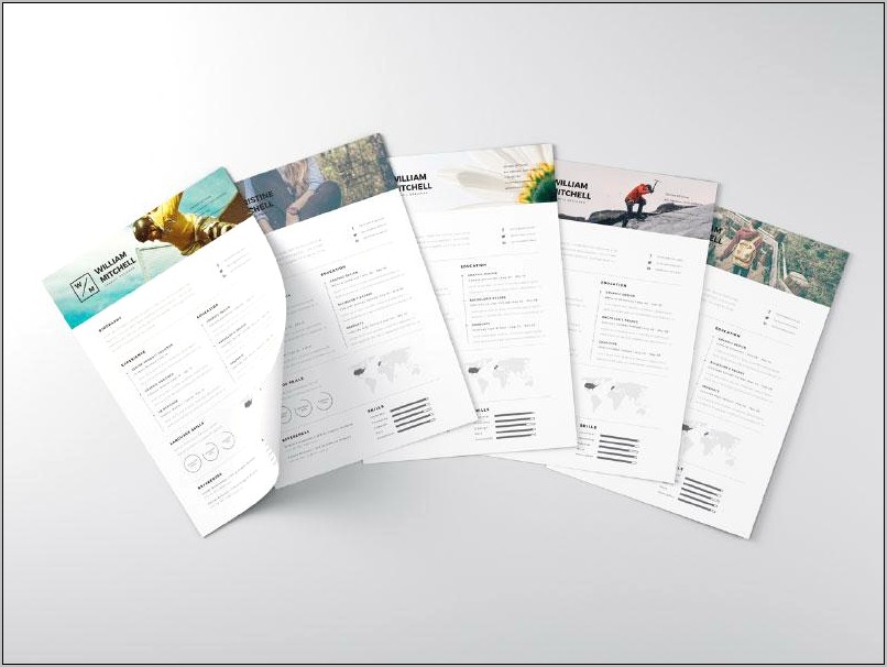 Free Infographic Resume Template Indesign