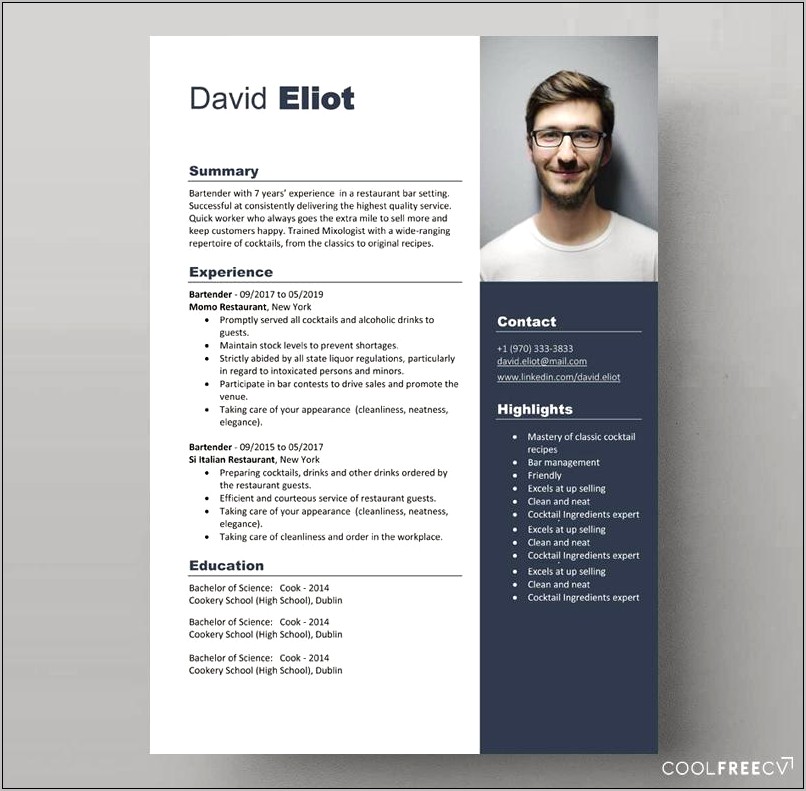 Free Resume Template For Engineers