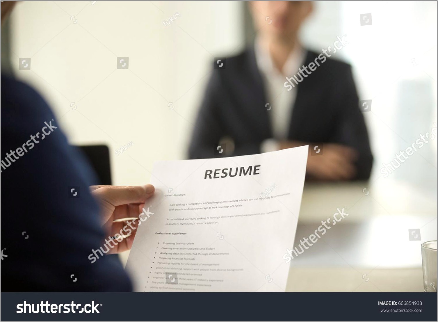 Hr Manager Recruiter Interviewer Resume