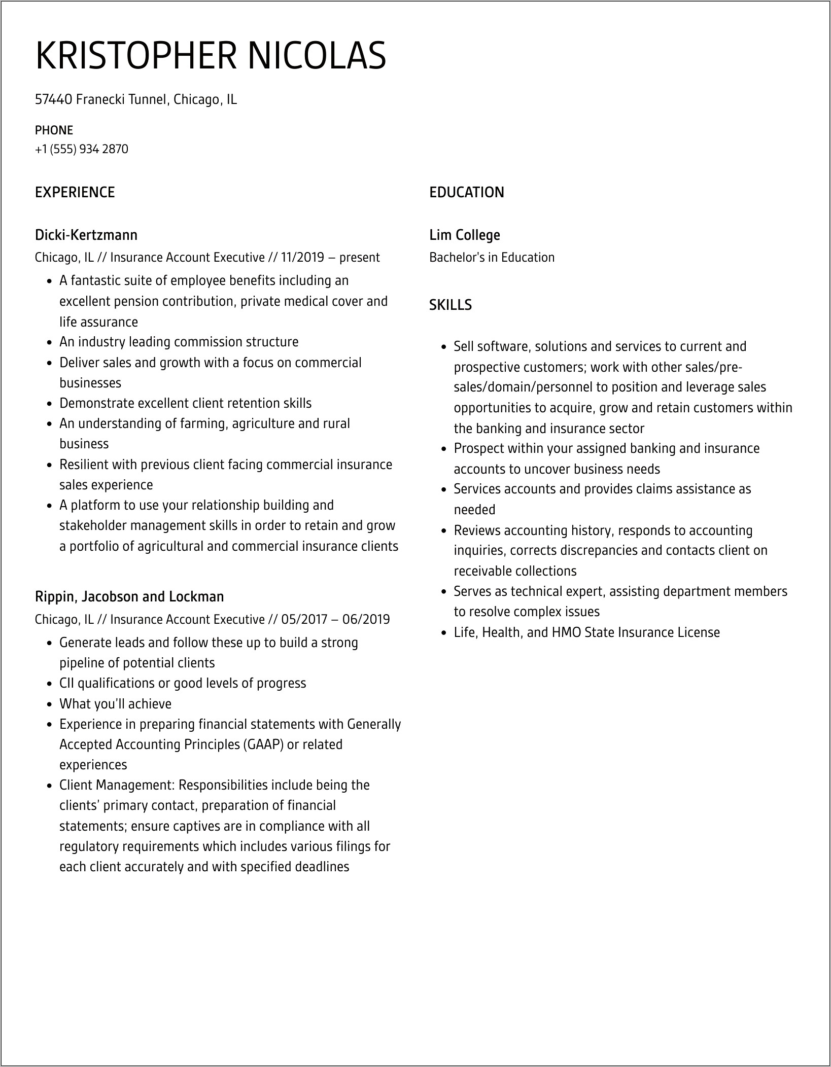 Insurance Account Executive Resume Examples