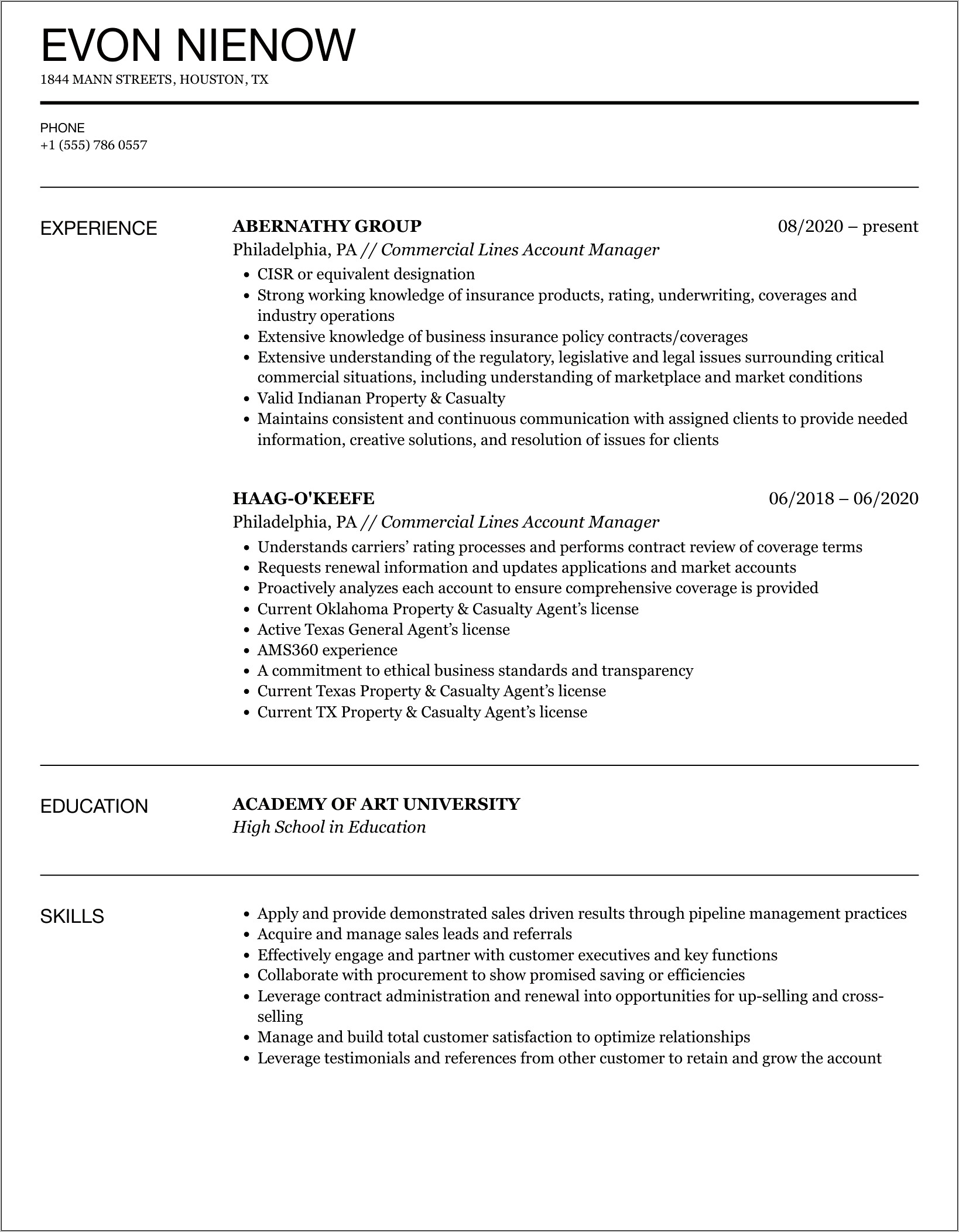 Insurance Account Manager Resume Examples