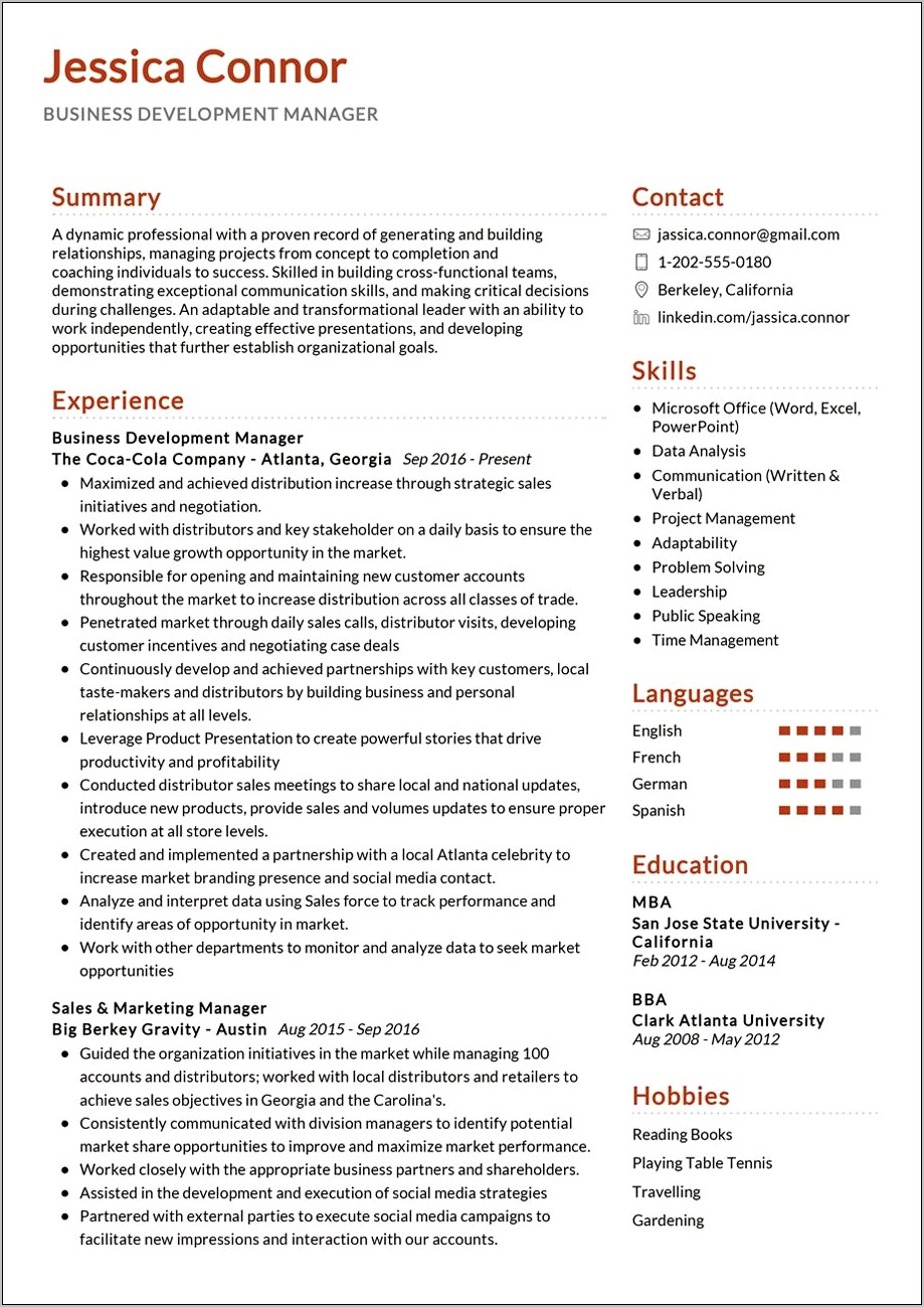 It Business Development Manager Resume