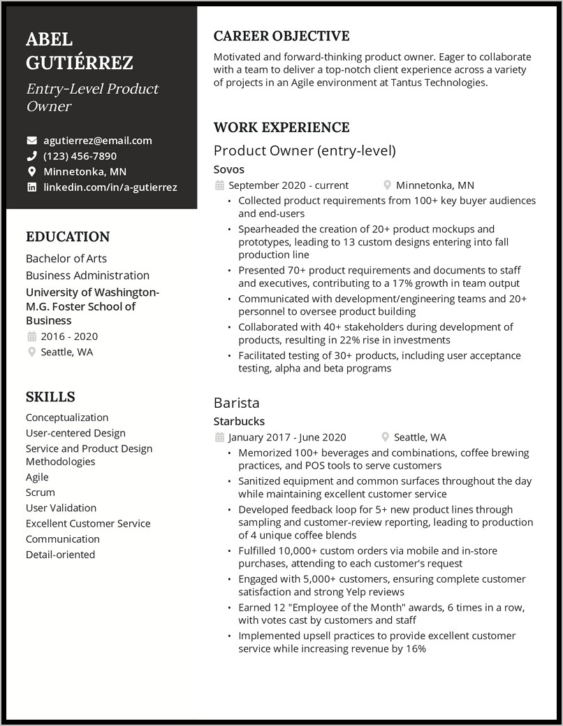 Manager Owner Job Description Resume