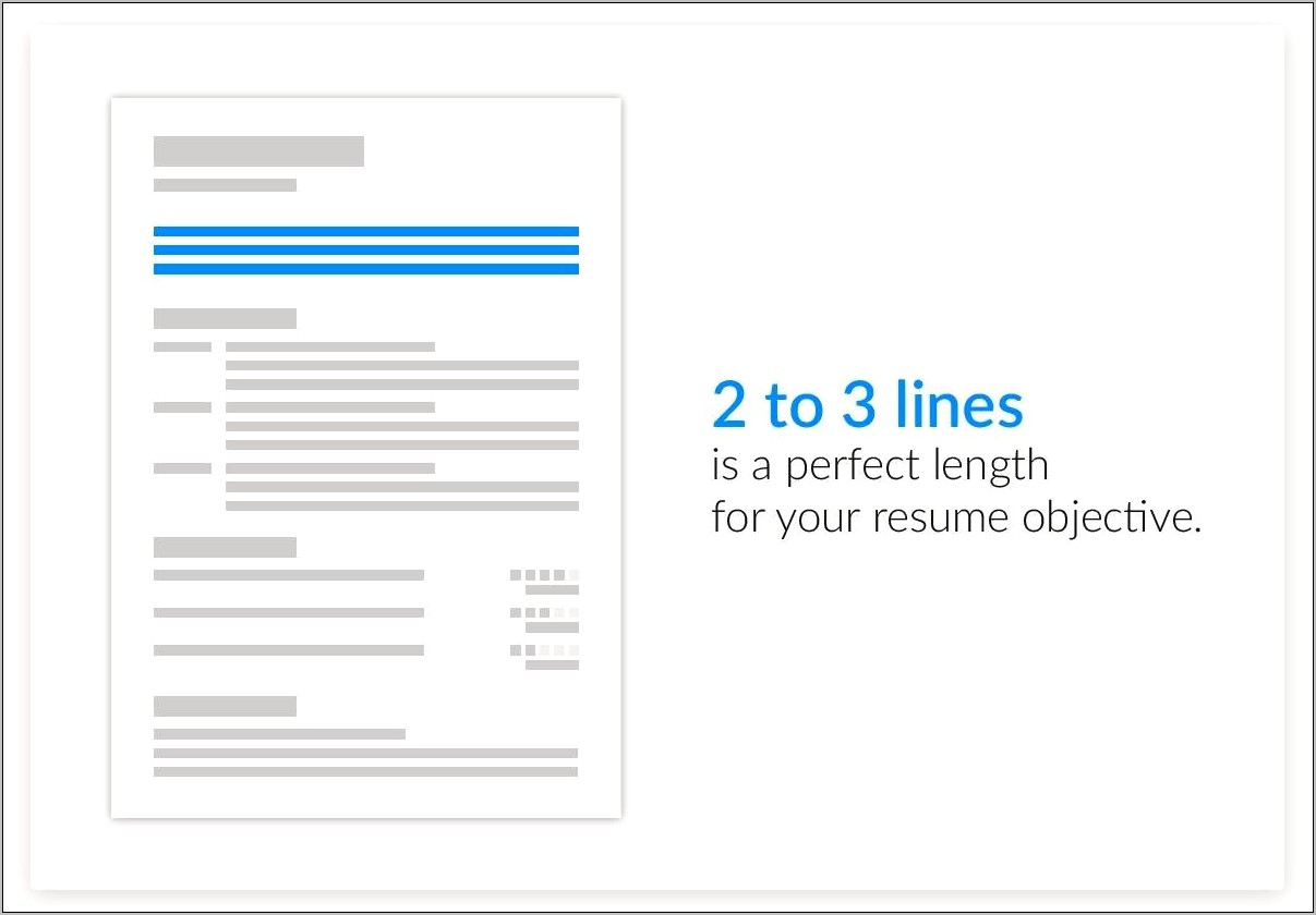 Objective Line On Resume Examples