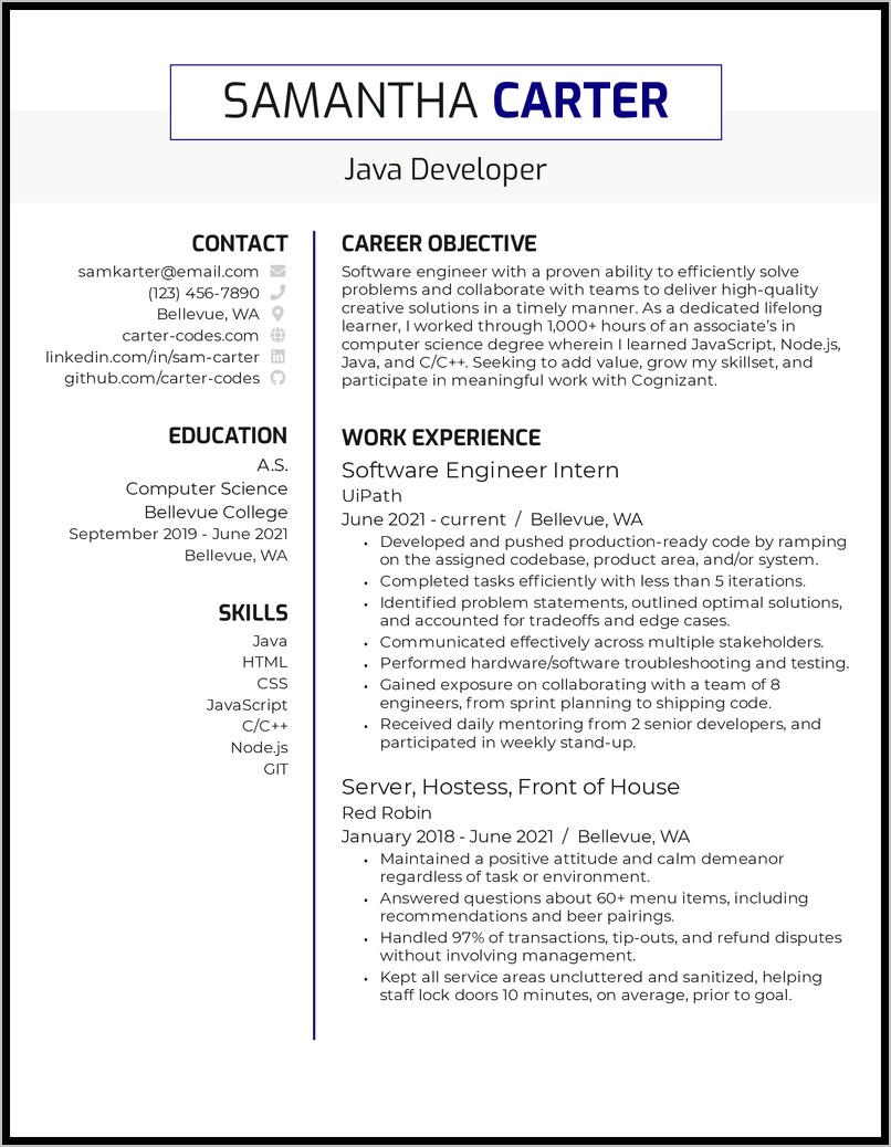Objective Of Resume For Developer