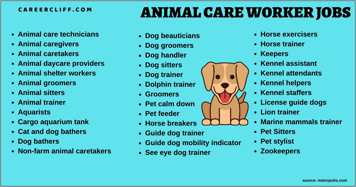 Pet Sitter Job Description Resume