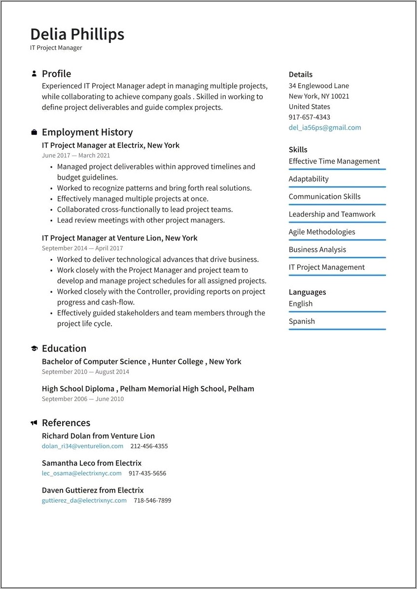 Project Management Resume Profile Examples