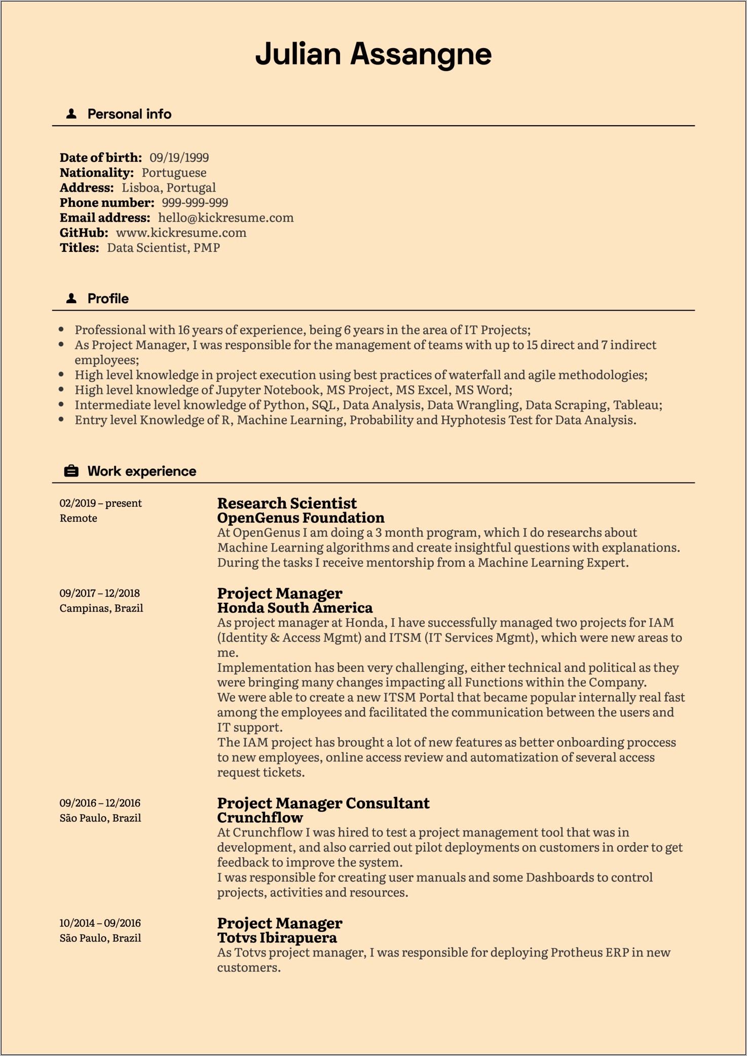 Resume Description Project Manager Consultant