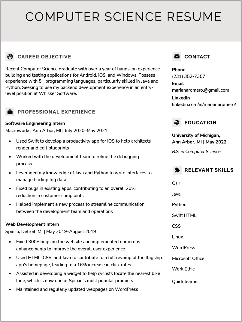 Resume Objective Examples For Freshers