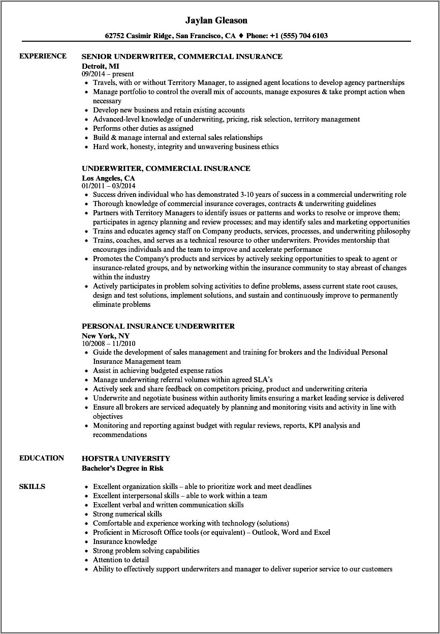 Resume Objective Examples For Underwriters