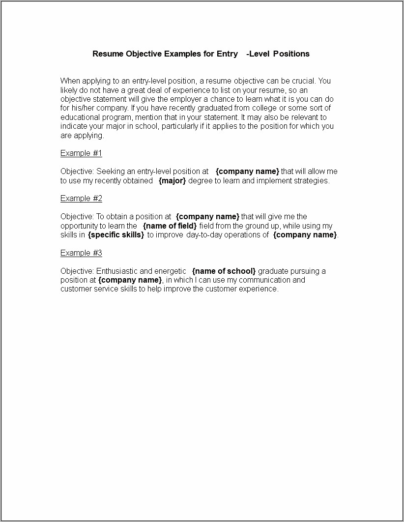 Resume Objectives Entry Level Examples