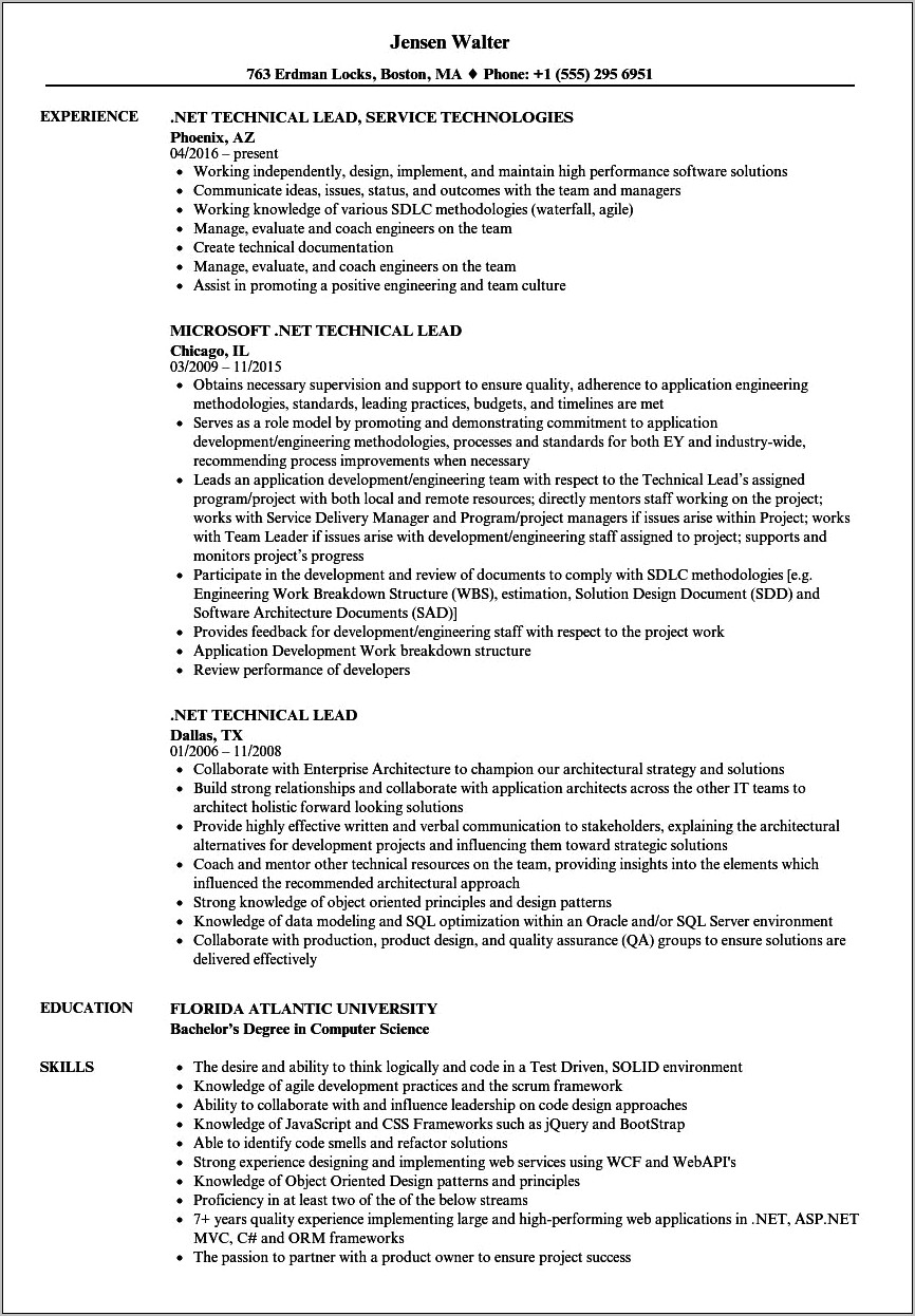 Resume Samples For Technical Lead