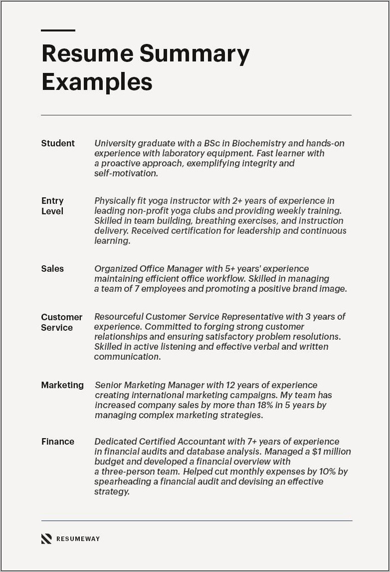 Resume Summary Examples For Leaders