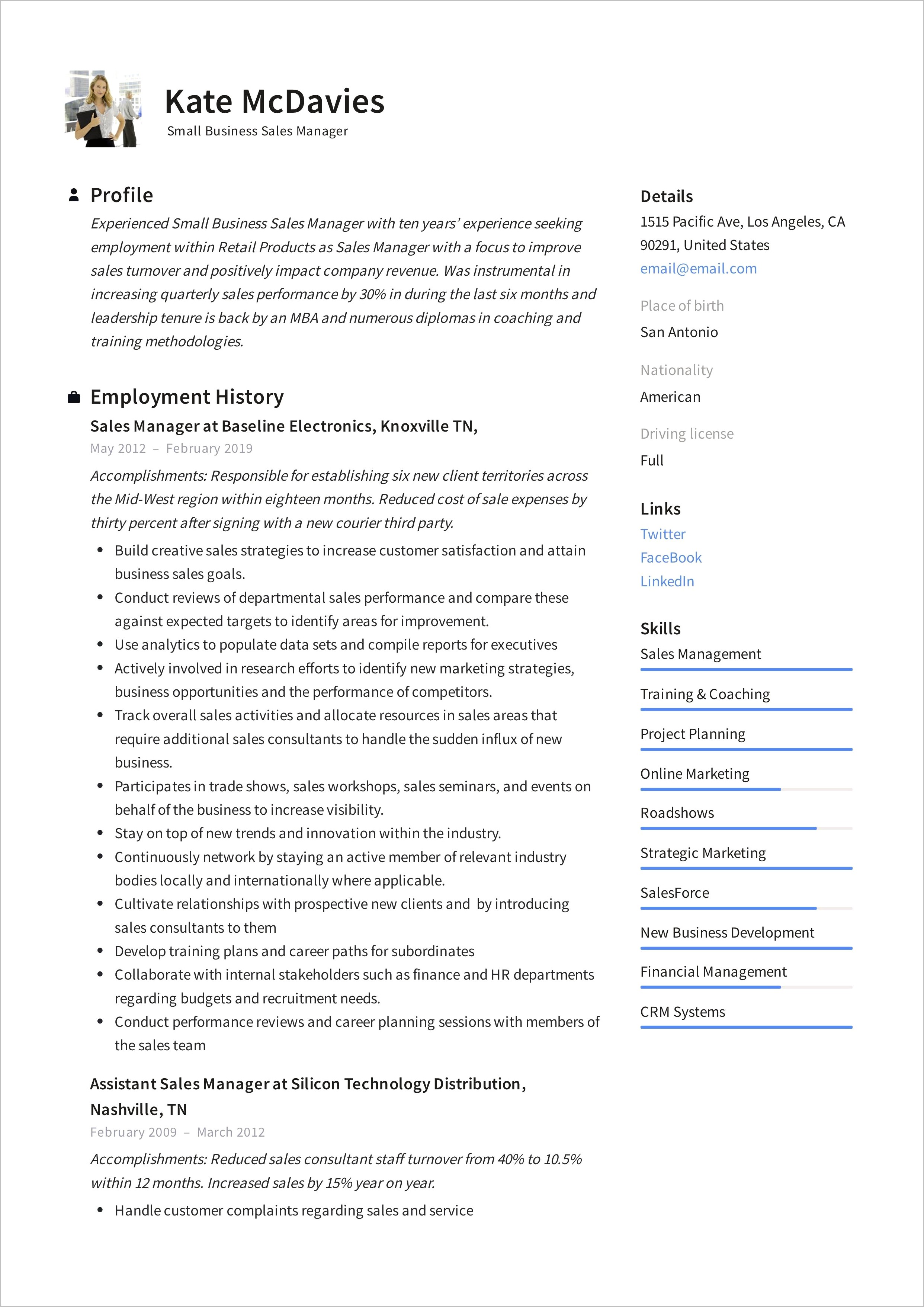 Resume Summary Examples Sales Business