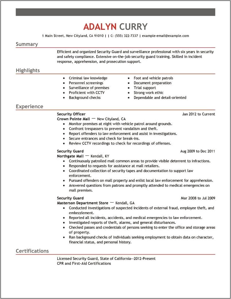 Resume Summary For Security Job