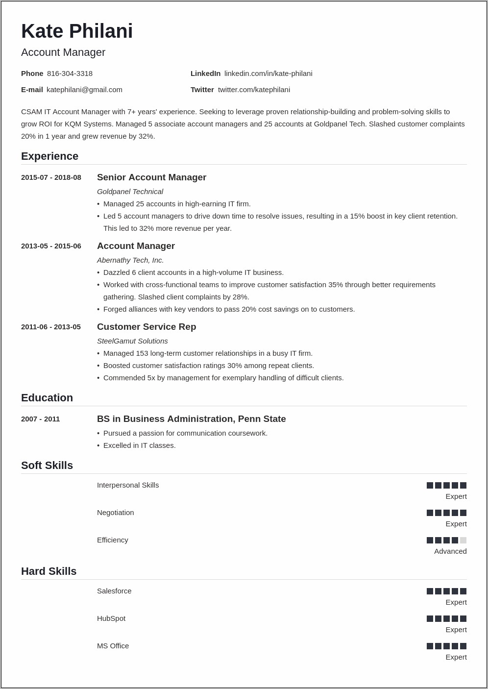 Resume Summary Samples Account Manager