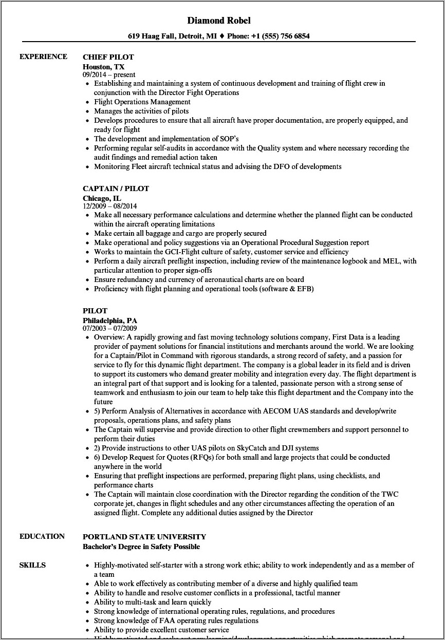 Resume Summary Statement Sample Faa