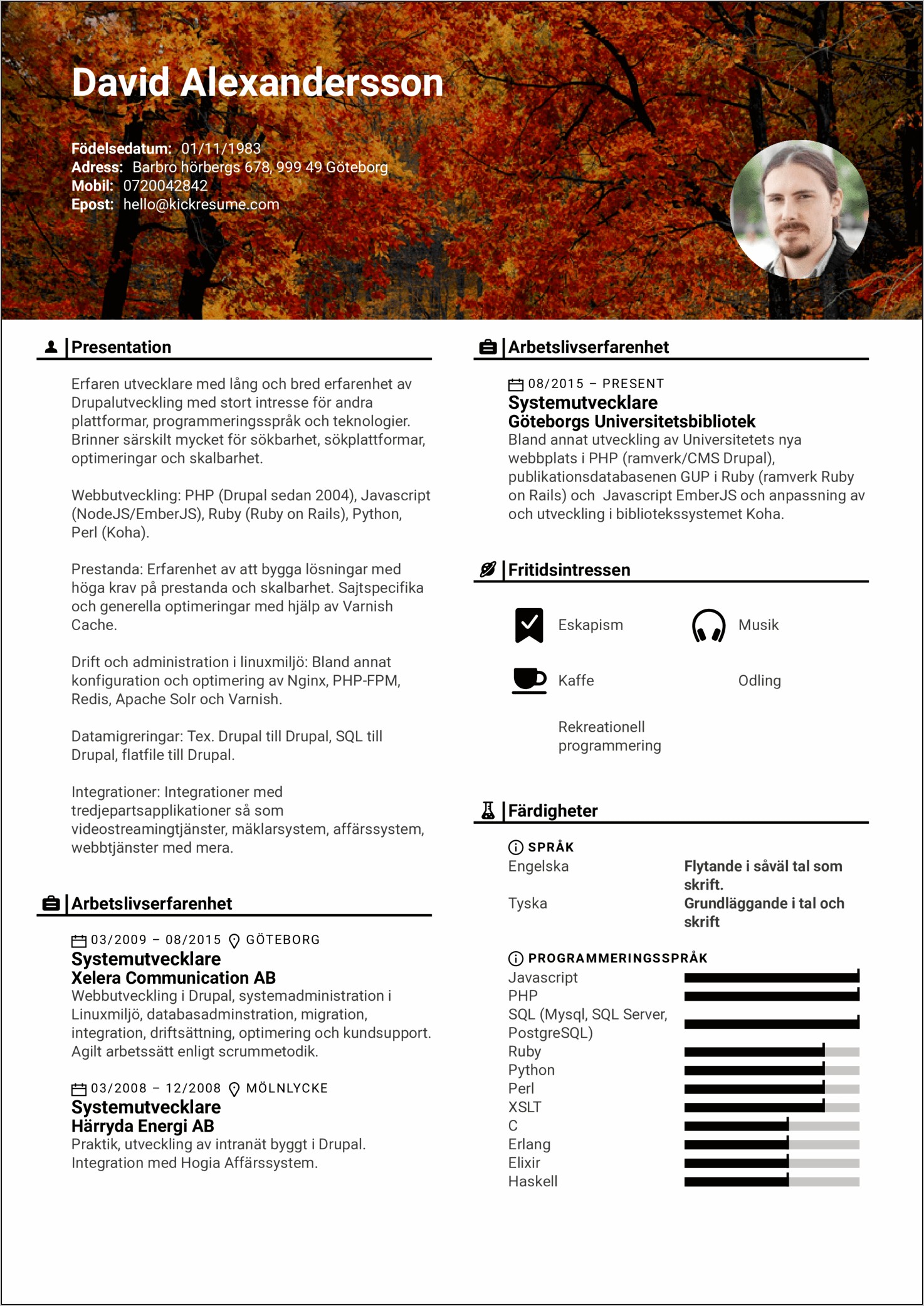 Ruby On Rails Resume Example
