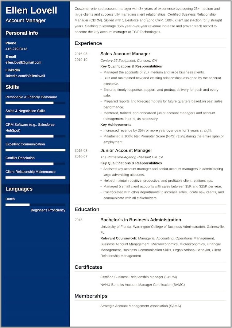 Salesforce Project Manager Resume Examples