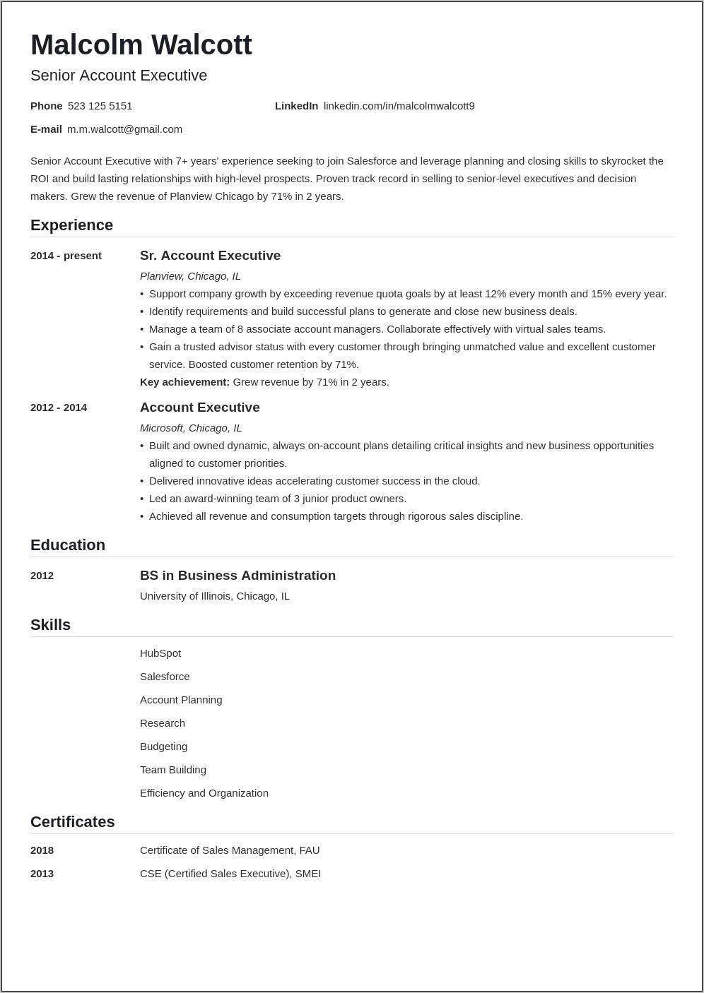 Sample Executive Profile Summary Resume