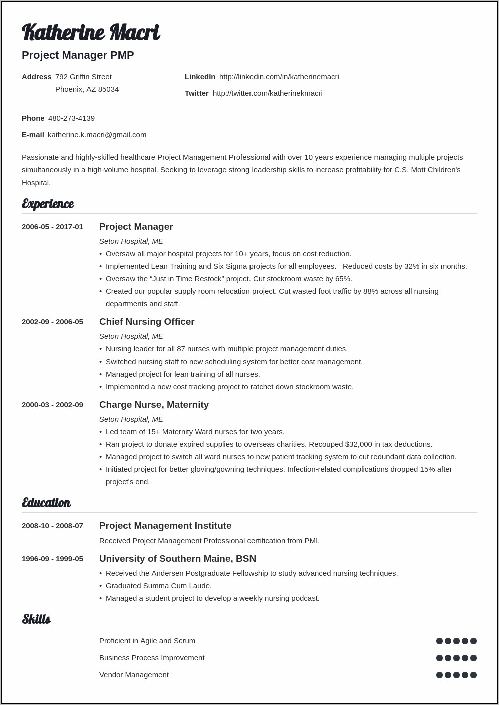 Sample Professional Project Manager Resumes