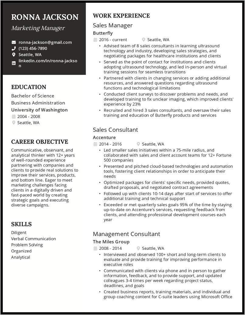 Sample Resume Professional Overview Examples