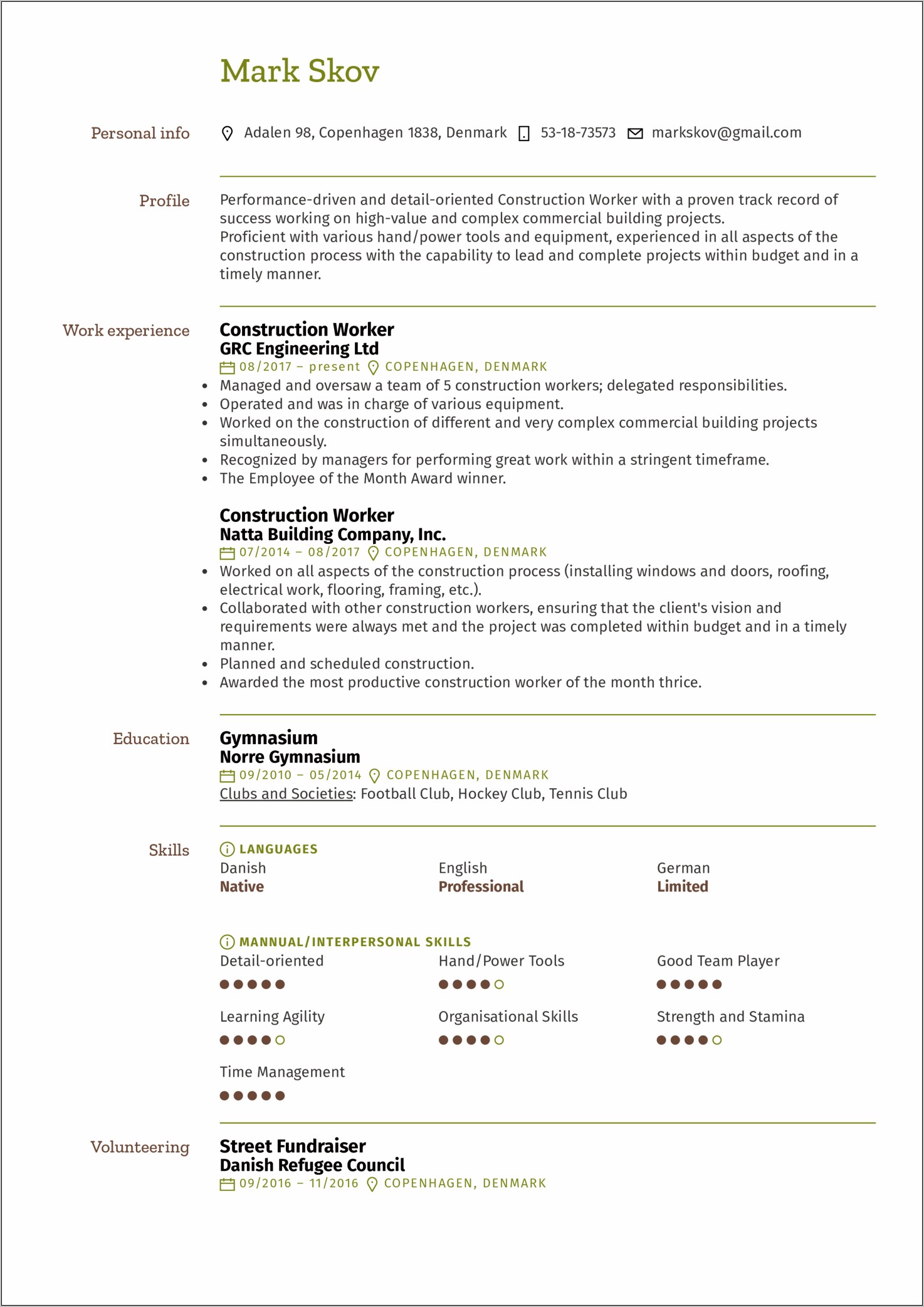 Skills Summary For Construction Resume