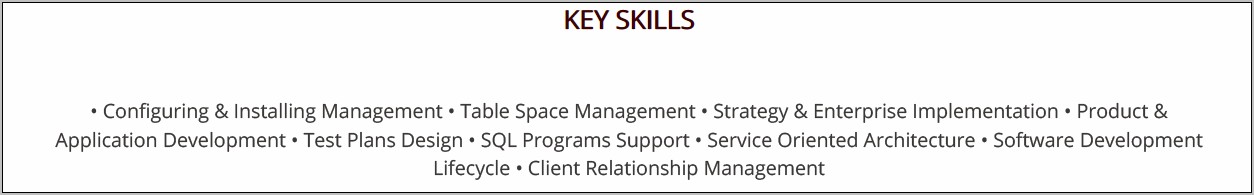 Software Developer Key Skills Resume