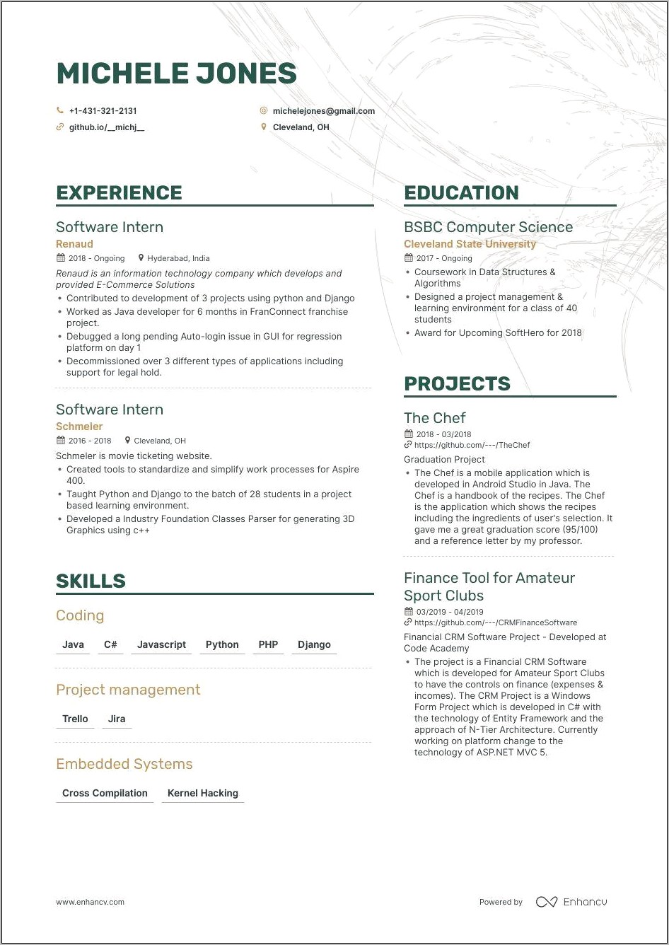 Successful Software Developer Resume Examples