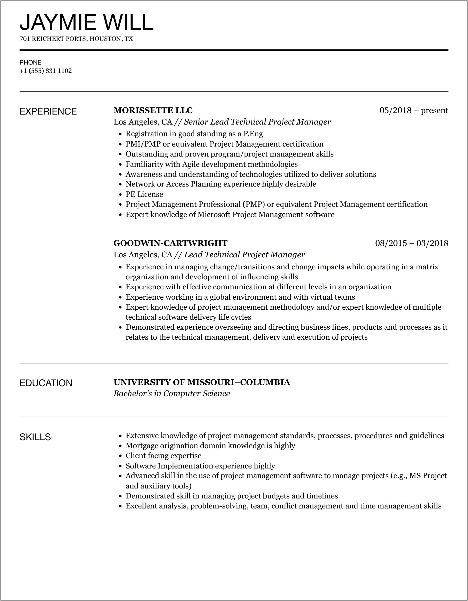 Tech Project Manager Sample Resume