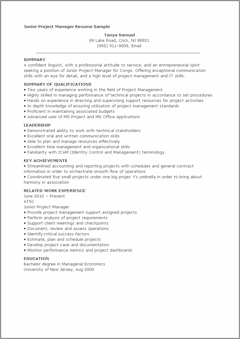 Technical Project Manager Resume Summary