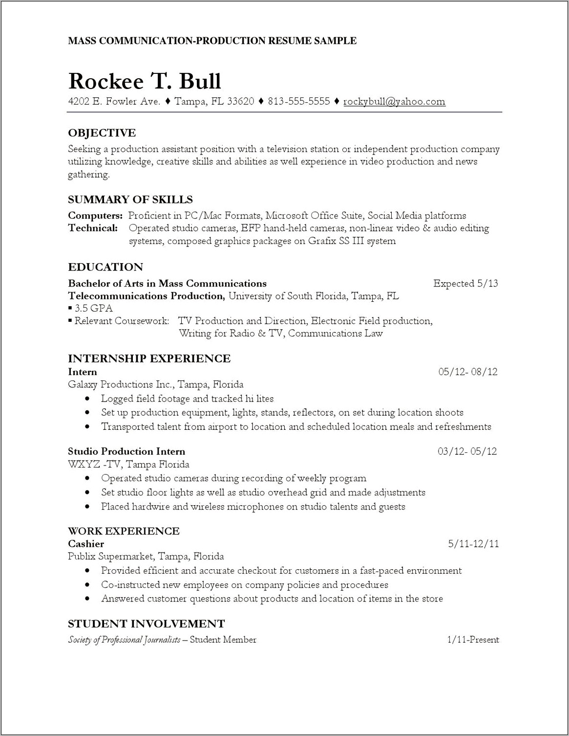 Television Production Assistant Resume Sample